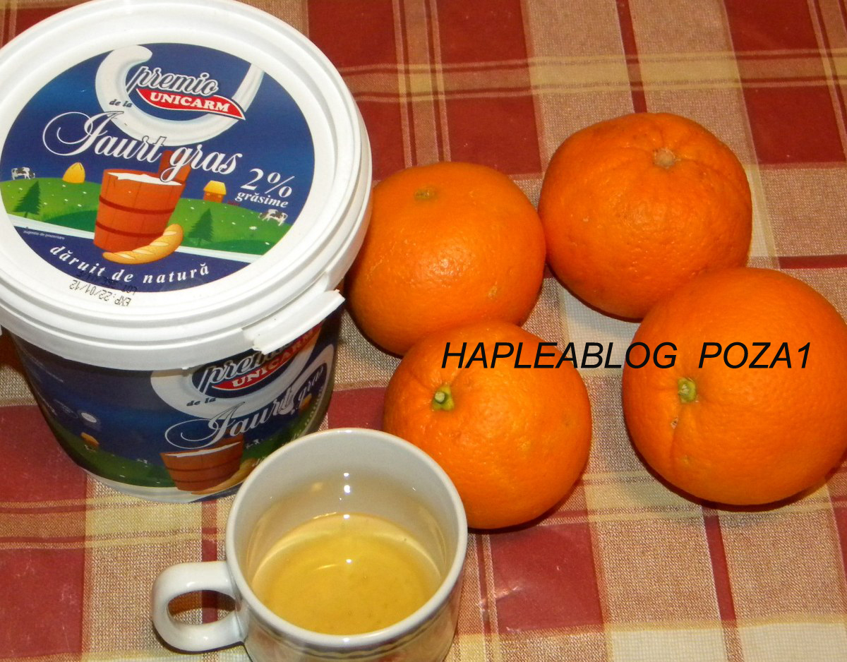 iaurt cu portocale 1