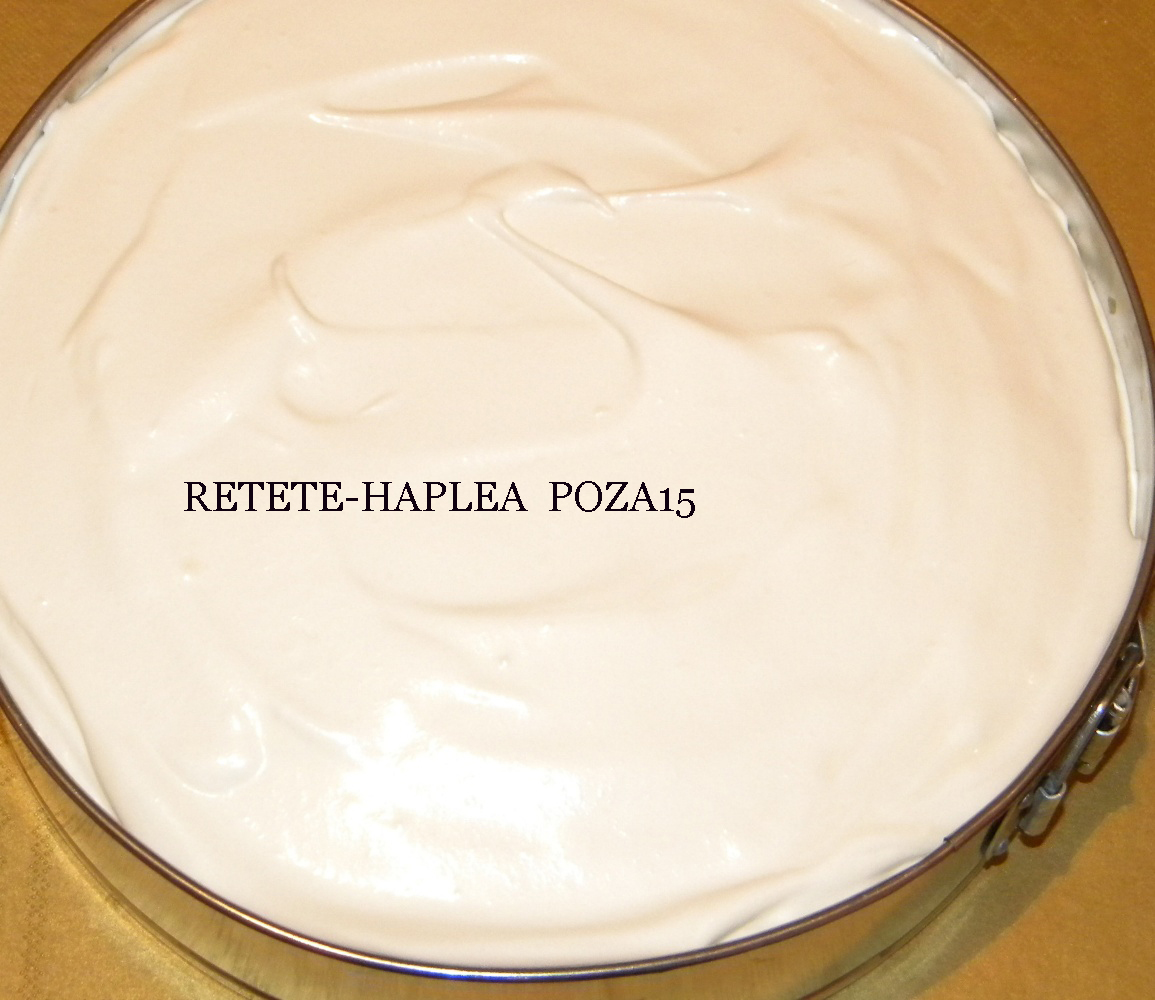 prajitura cu crema din lapte de cocos 15