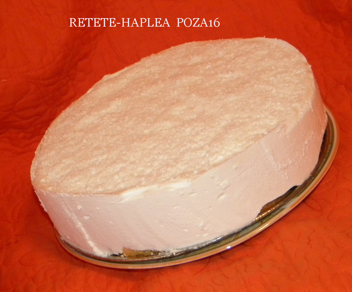 prajitura cu crema din lapte de cocos 16